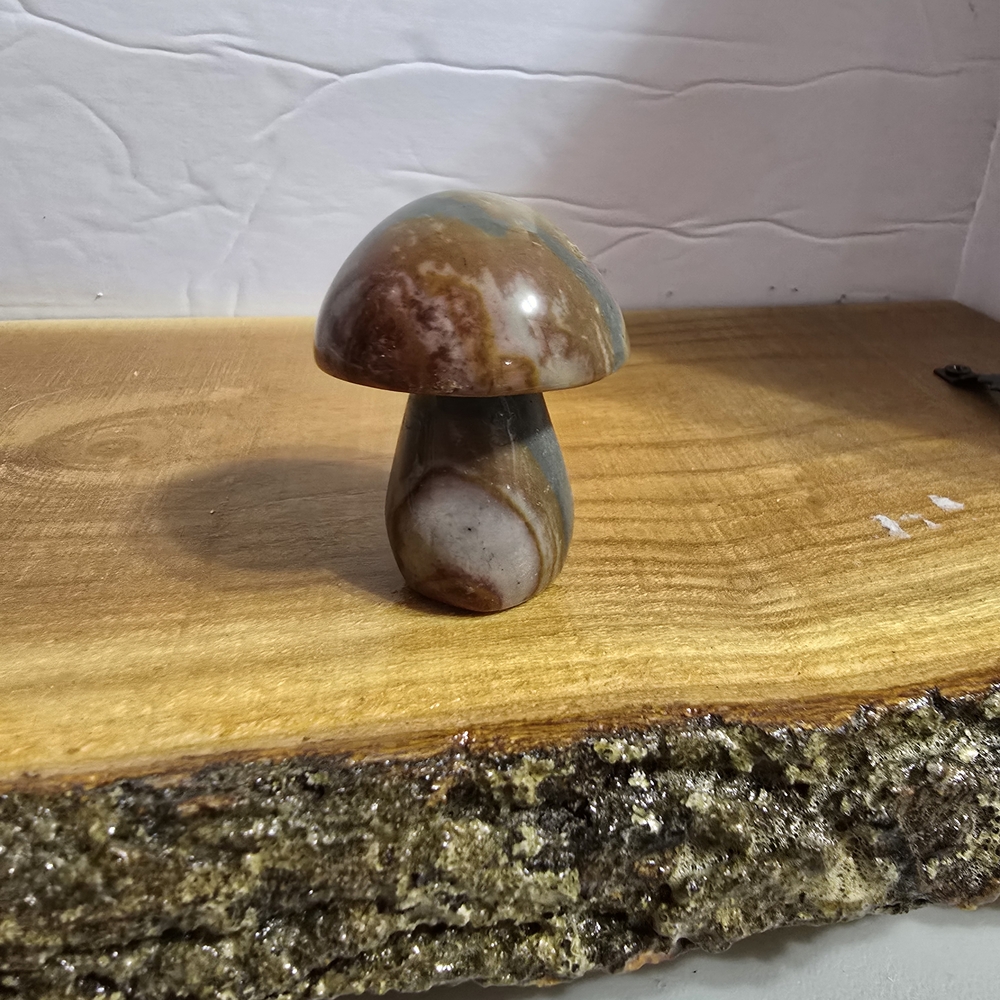 Mushroom Ocean Jasper